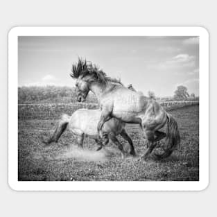 Horsepower in black & white Sticker